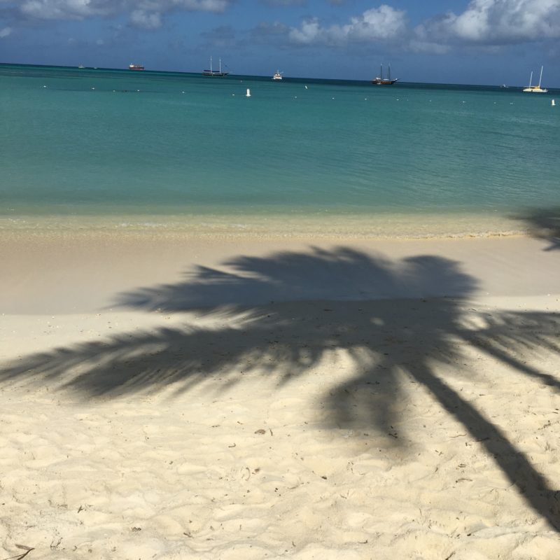 Palm Beach-Aruba-Palm Tree-Travel