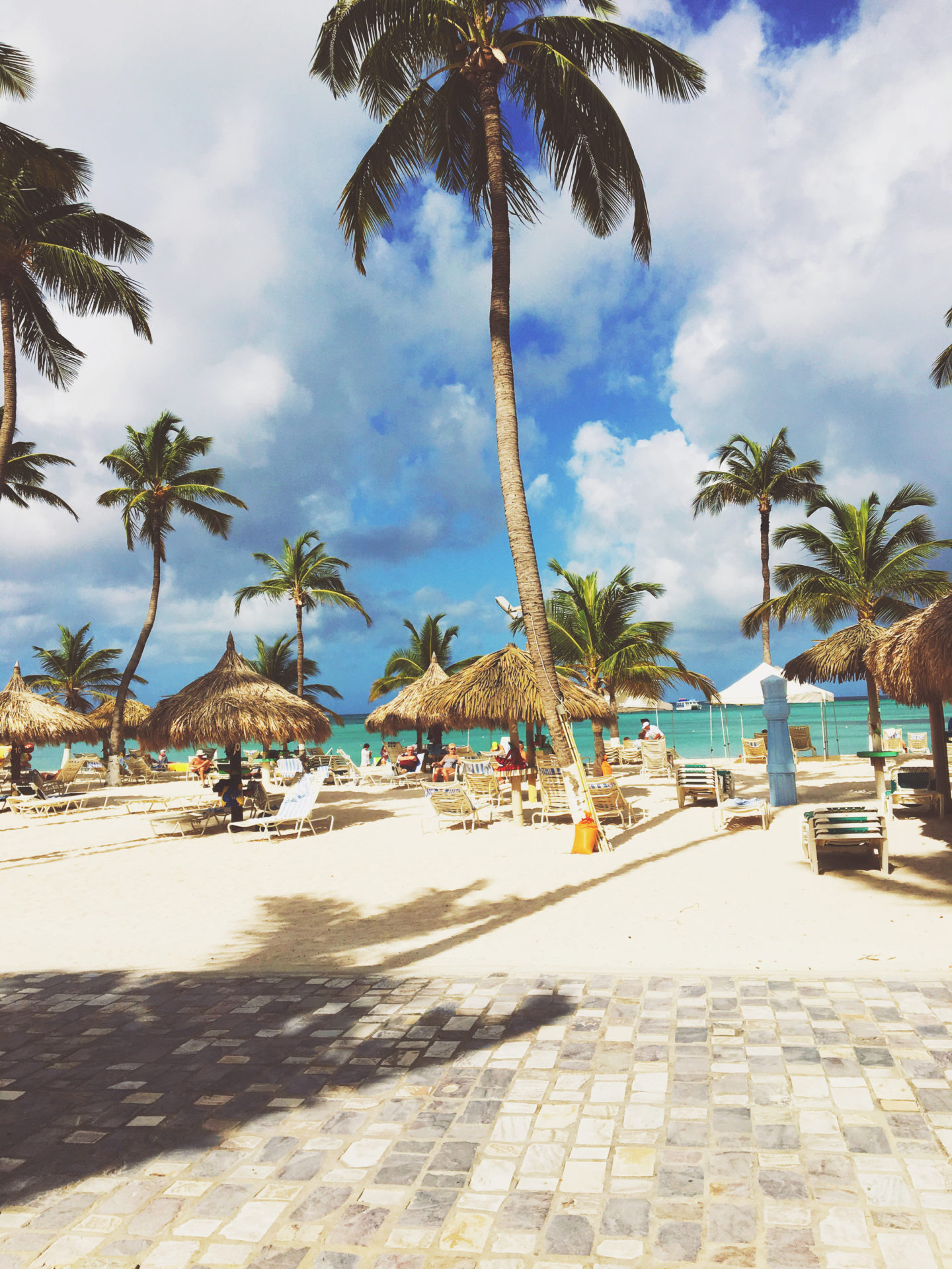 Holiday Inn-Aruba-Palm Beach-Palm Trees