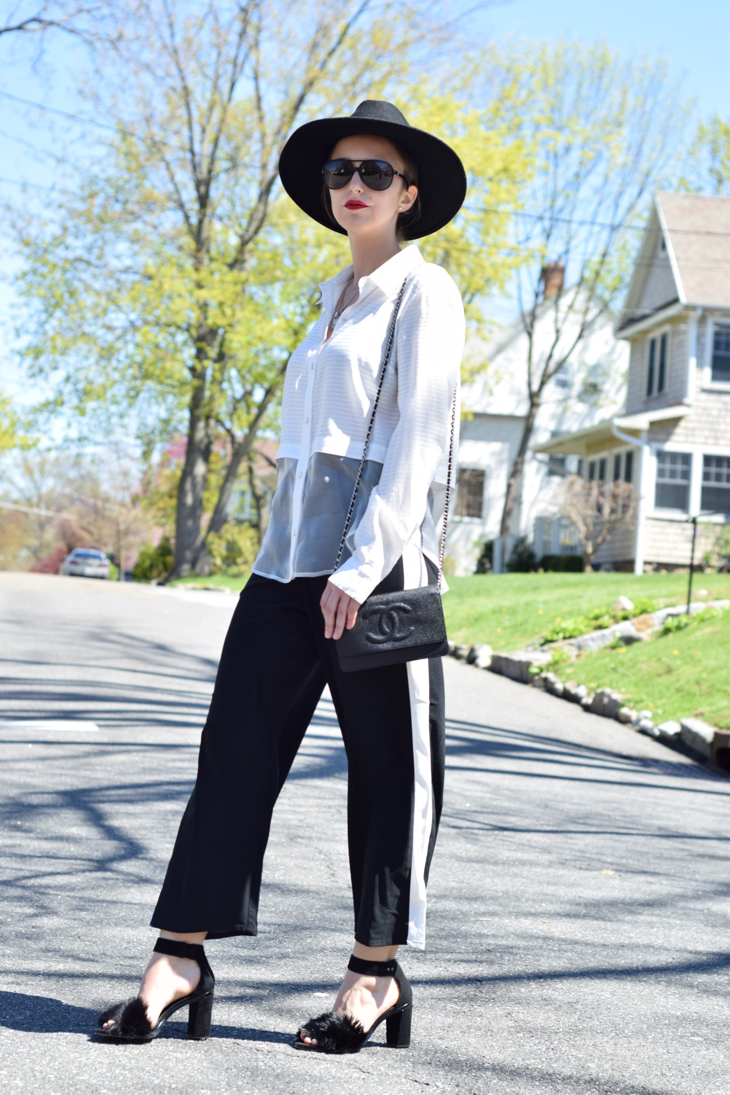 elizabeth and james-half sheer blouse-street style