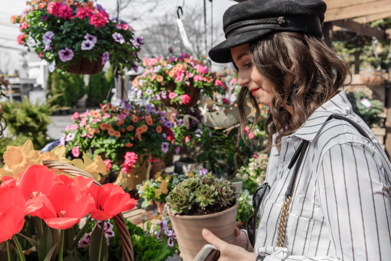 succulent-plants-blogger-lifestyle-flowers-spring-fashion-nursery-westchester county
