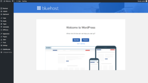 Blogging Tips How YOU Can Start Your Blog Today-Bluehost-Self host-Blogger-Simply by Simone-Step 5-Wordpress dashboard-Launch Your Site