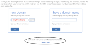 Blogging Tips How YOU Can Start Your Blog Today-Bluehost-Self host-Blogger-Simply by Simone-Enter A Domain Name