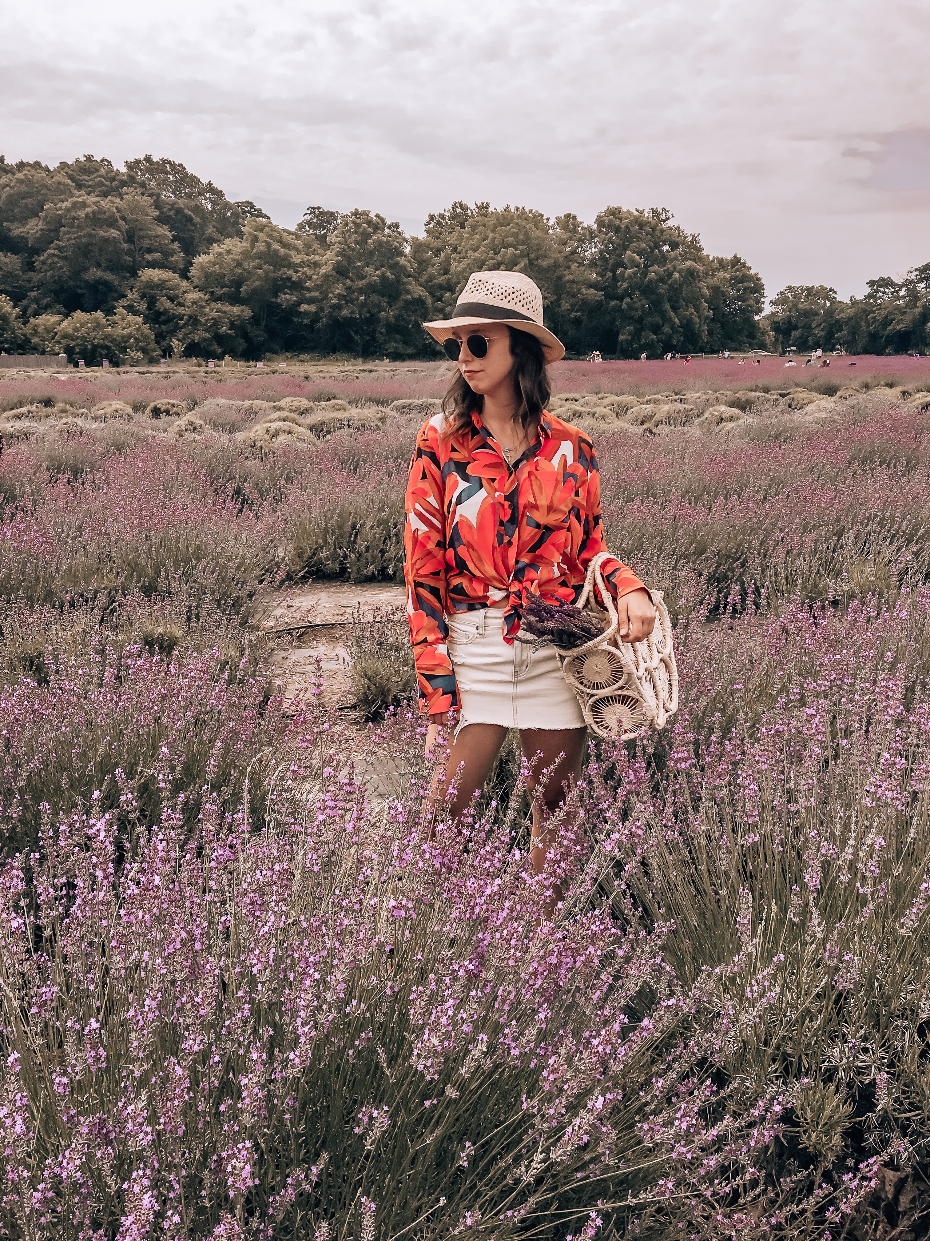 THREE - Lavender by the Bay - Lavender Field - North Fork - Long Island #lavender #flowers #travel #blogger #summer #vacation #travel simply by simone #whowhatwear