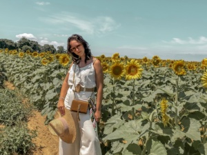 Top 10 Things To Do On The North Fork This Summer #northfork #nofo #blogger #summer #sunflower #longisland #travel #vacation #summer #bloggerstyle #summerstyle #outfit #summeroutfit
