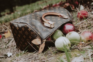 Girls Trip Apple Picking and Pumpkin Picking Outside of NYC - Simply by Simone - Simone Piliero - Photographer Riley McCarthy –- Fall Fashion - Fall Outfit - Fall Style - Apples - Tree - Louis Vuitton #fashion - Camel Coat - Black Jeans - Vans Sneakers - fashion poses - #outfit #style #fallfashion #falloutfit #westchestercounty #dutchesscounty #nyc #northofnyc #suburbs #pumpkinpicking #bloggerstyle #applepicking #bff #bffphotos #pumpkinfield