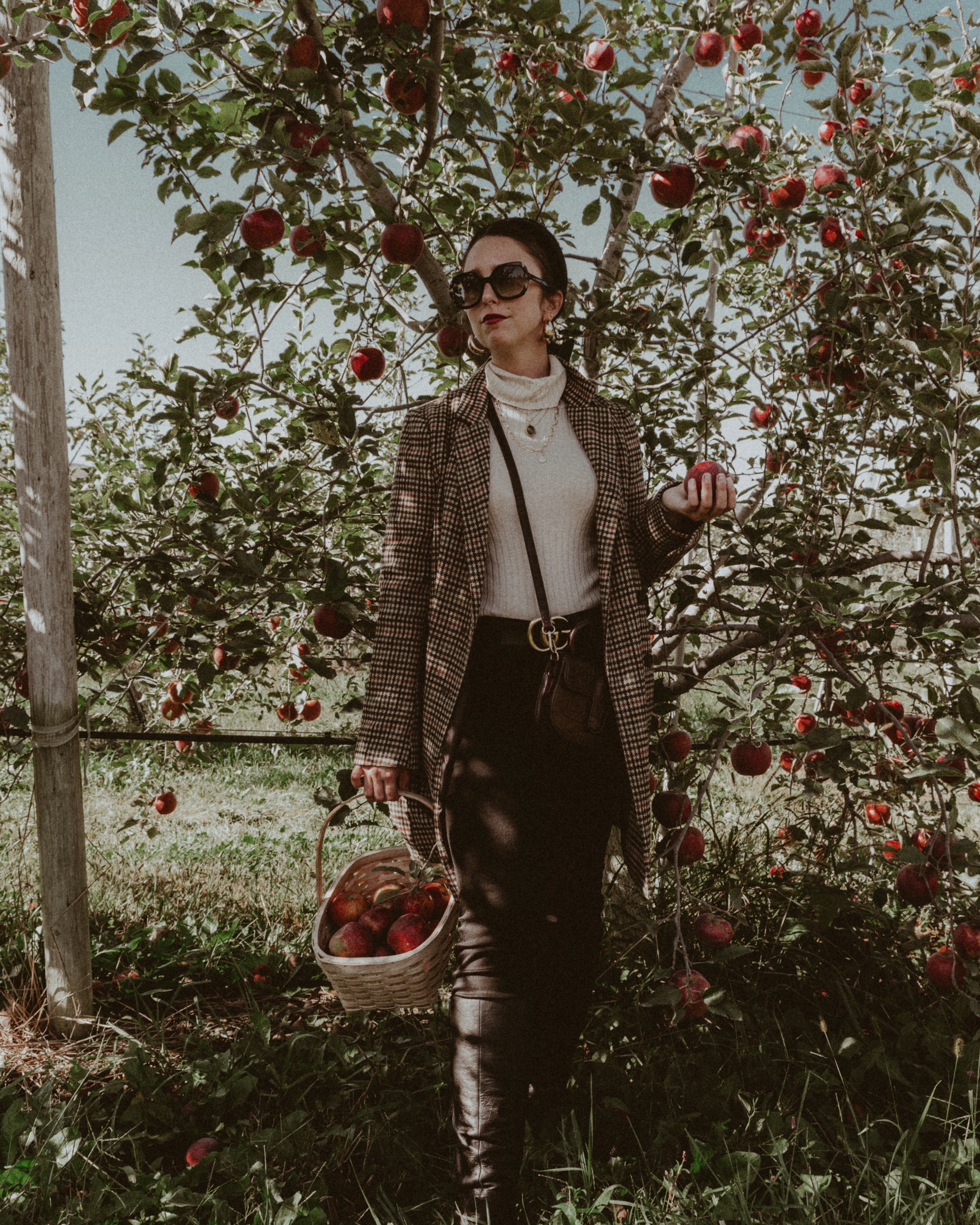 Girls Trip Apple Picking and Pumpkin Picking Outside of NYC - Simply by Simone - Simone Piliero - Fall Fashion - Fall Outfit - Fall Style - Apples - Tree - Louis Vuitton #fashion - Camel Coat - Black Jeans - Vans Sneakers - fashion poses - #outfit #style #fallfashion #falloutfit #westchestercounty #dutchesscounty #nyc #northofnyc #suburbs #pumpkinpicking #bloggerstyle #outfitinspiration #poseinspiration #applepicking 
