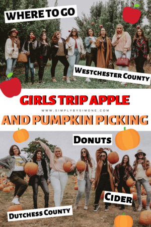 Girls Trip Apple Picking and Pumpkin Picking Outside of NYC - Simply by Simone - Simone Piliero - Fall Fashion - Fall Outfit - Fall Style - Apples - Tree - Louis Vuitton #fashion - Camel Coat - Black Jeans - Vans Sneakers - fashion poses - #outfit #style #fallfashion #falloutfit #westchestercounty #dutchesscounty #nyc #northofnyc #suburbs #pumpkinpicking #bloggerstyle #outfitinspiration #poseinspiration #applepicking