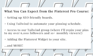What You Can Expect - Introducing the Pinterest Pro Course - Explode Your Reach and Grow Your Influence Get More Sales and Brand Deals #pinterest #course #pinterestcourse #growth #influencer #influencergrowth #instagramgrowth #tiktokgrowth #community #socialmediatips #ecourse by Simply Society - Simply by Simone - Simone Piliero
