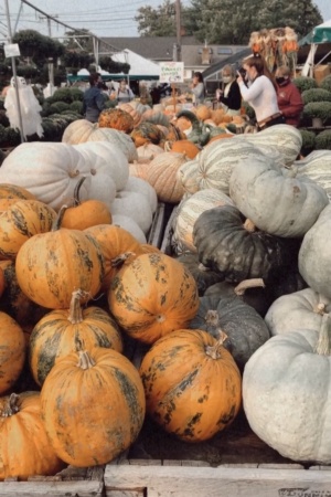 Overnight Stay in Massachusetts - Salem, MA & Lexington, MA - Wilson Farm - Pumpkins - Simply by Simone - Simone Piliero Arena PIN THIS #salem #salemma #salemmassachusetts #newengland #newenglandtravel #halloween #falltravel #northeasttravel #travel #travelguide