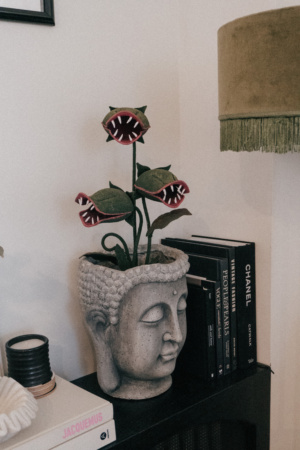 Edgy Neutral Halloween Home Decor Guide | Halloween Decorations | Neutral Halloween Decorations | Halloween Home Décor | The Best Neutral Halloween Home Decor | Spooky Chic Halloween Decorations | Grandin Road Halloween Decor | Bat Wall Decals for Halloween | Easy Halloween Decor | DIY Halloween Decorations | Spooky Venus Fly Trap