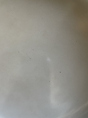 Our Place Always Pan 2.0 scratches
