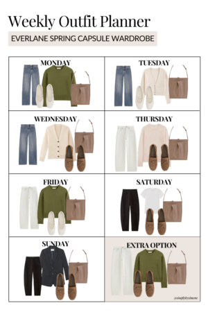 Everlane Spring Capsule Wardrobe, Barrel Leg Jean Outfits, Spring Outfits for Women, Spring Weekly Outfit Planner